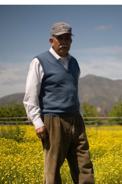 Reinaldo Rojas