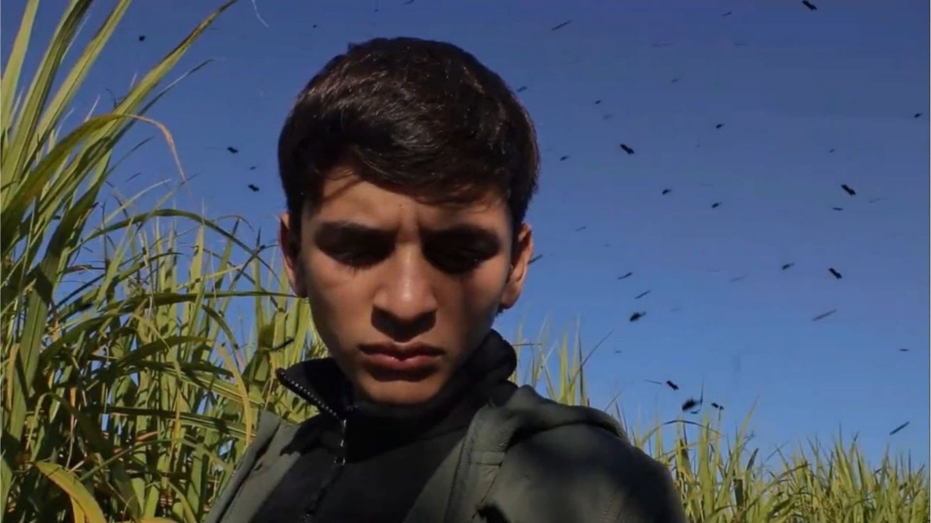 Alejandro Villagra