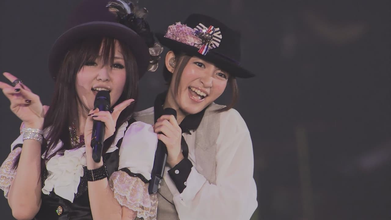 Animelo Summer Live 2013 -FLAG NINE- 8.25