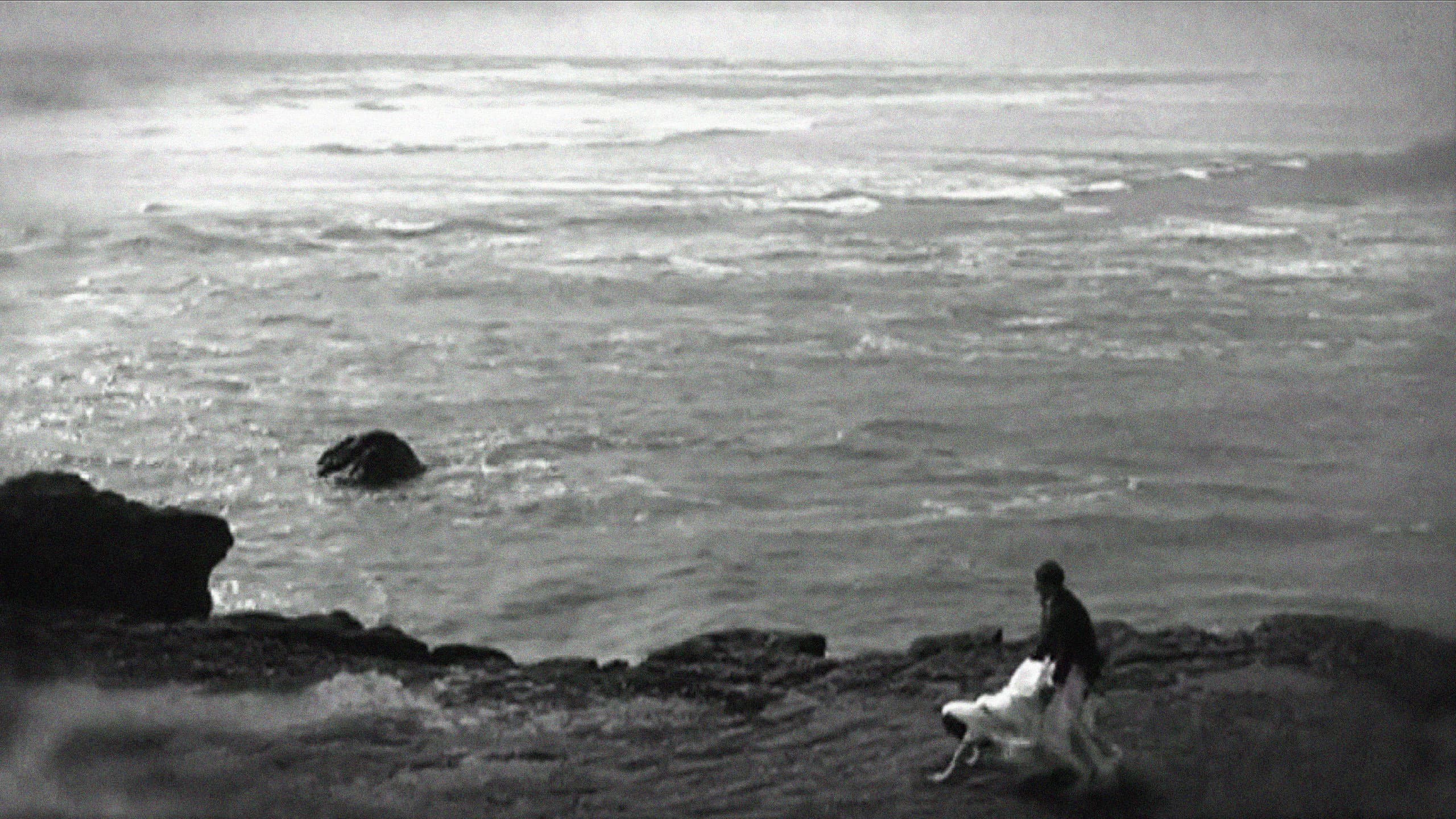 David Hornblow