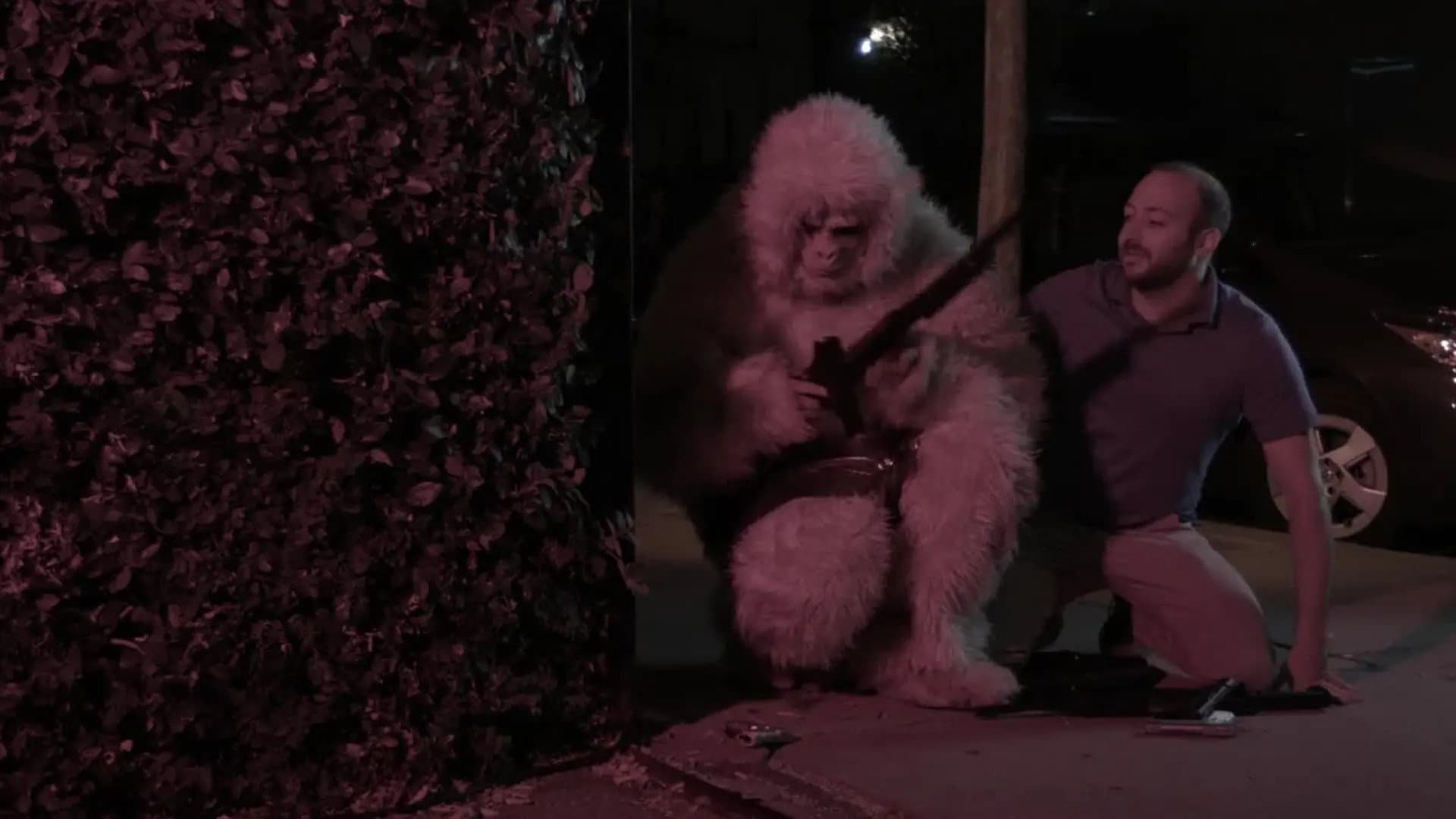 Marissa Merrill