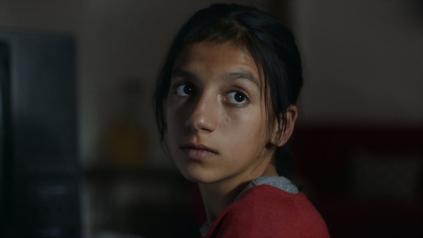 Şükran Aktı