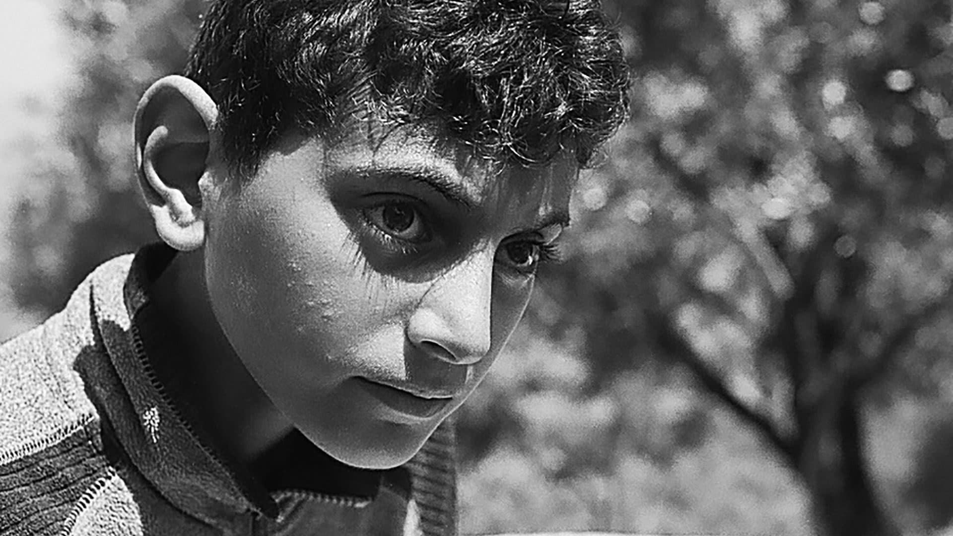Mohamed Cherif