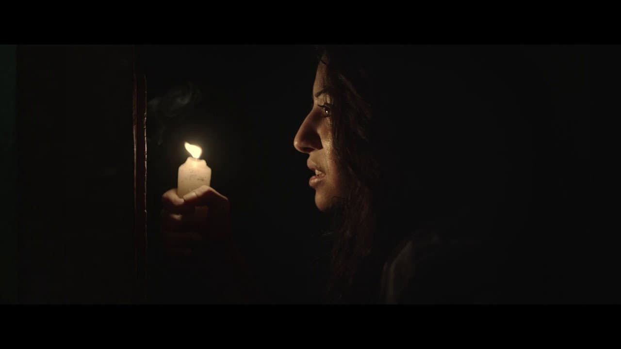 Abeer ElTokhy