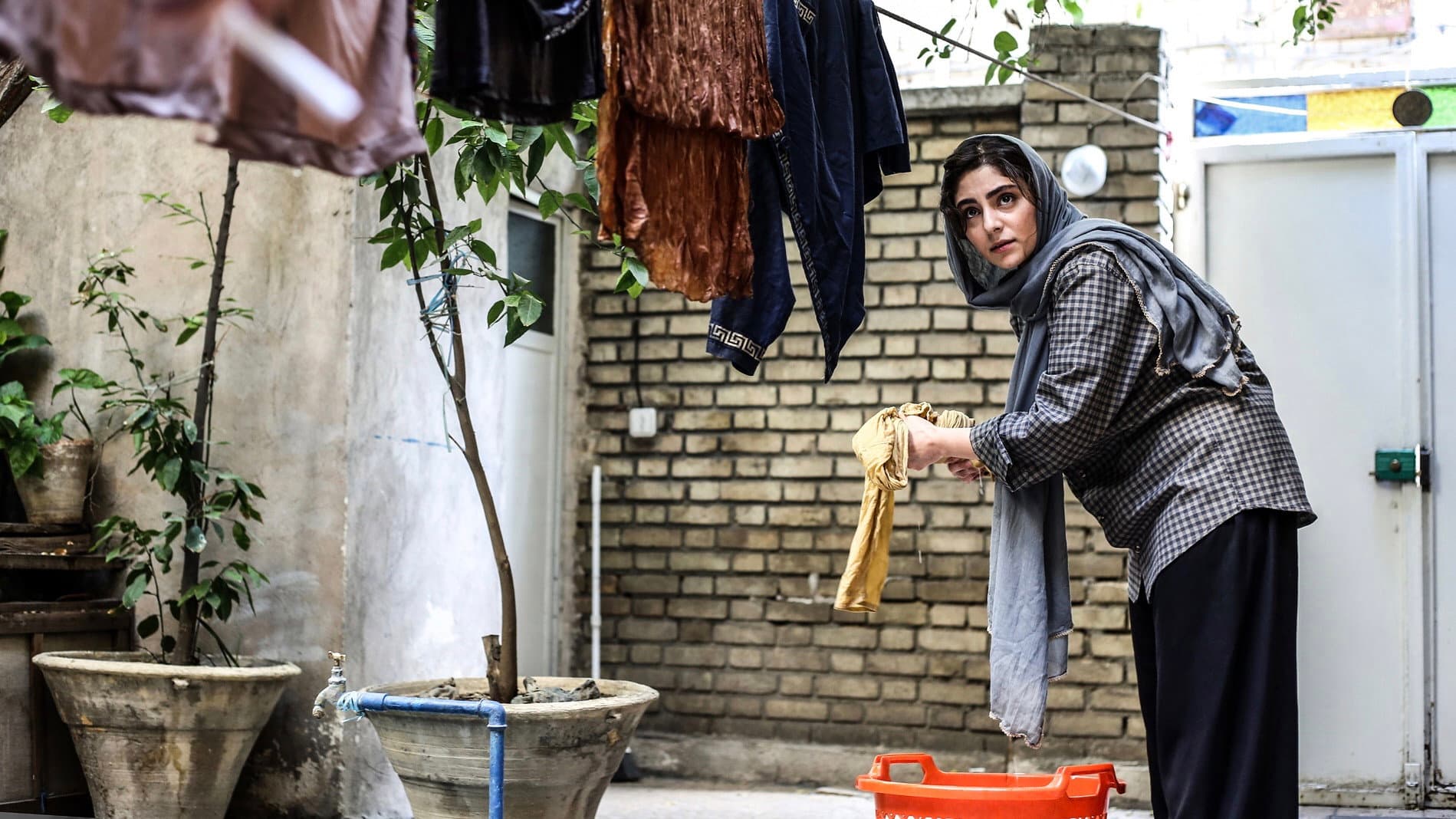 Fereshteh Hosseini