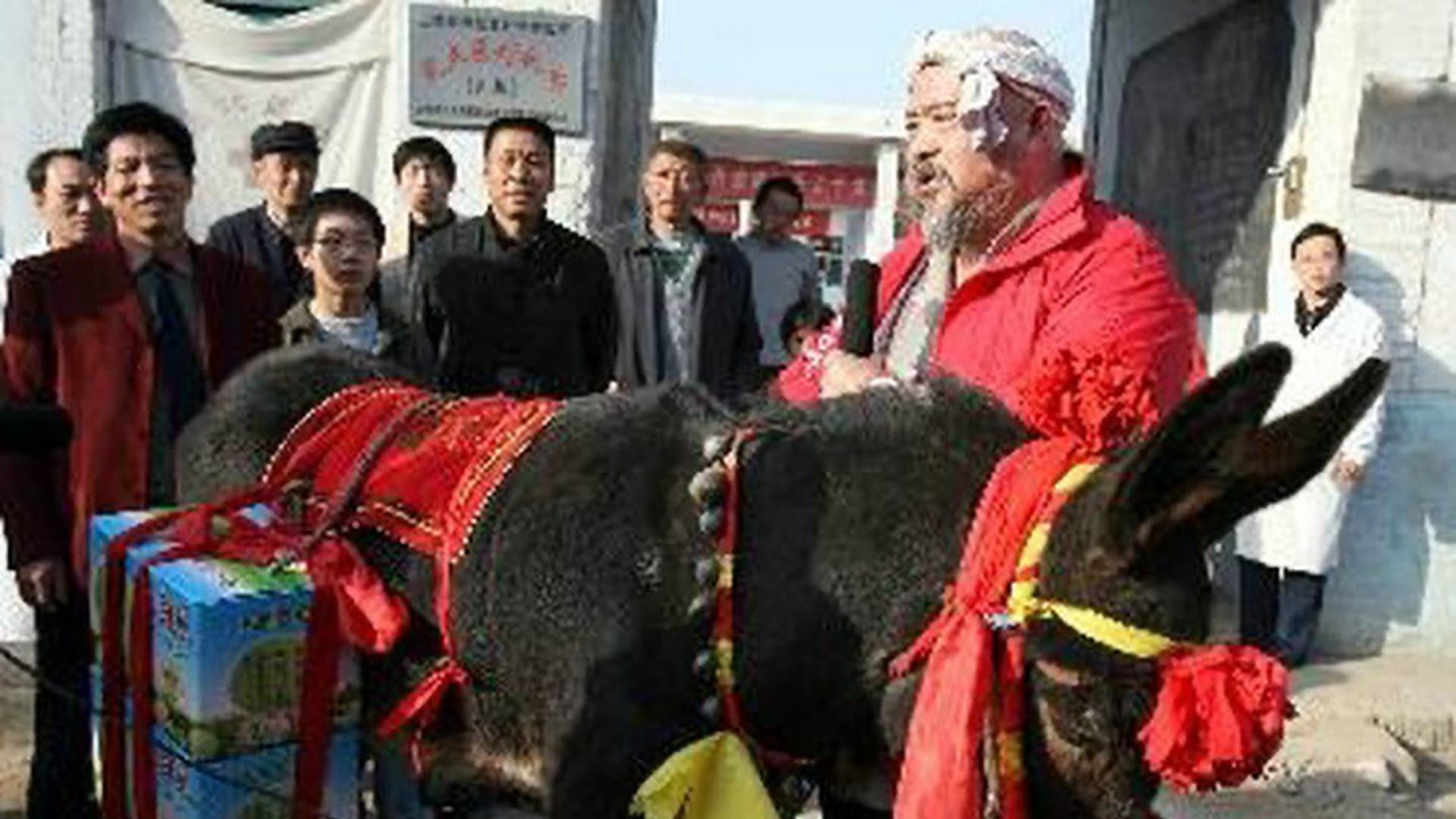 Tian Liang