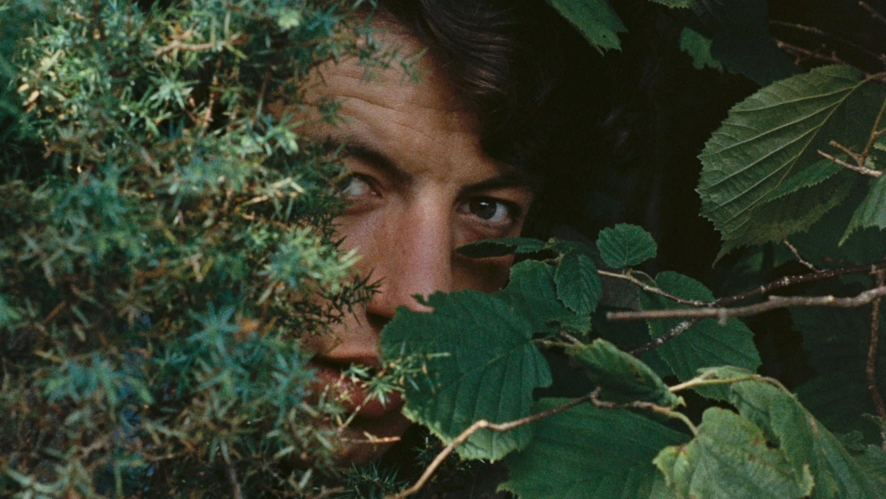Tom Tellefsen