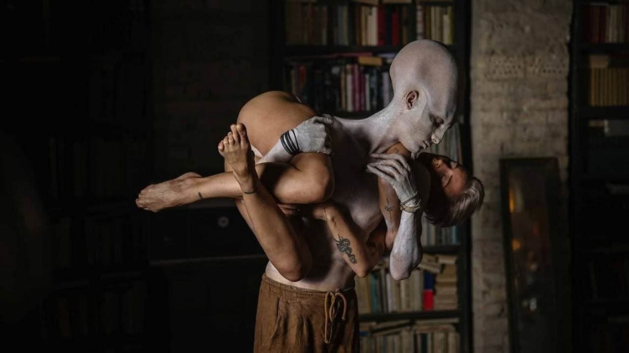 Dmytro Korshak
