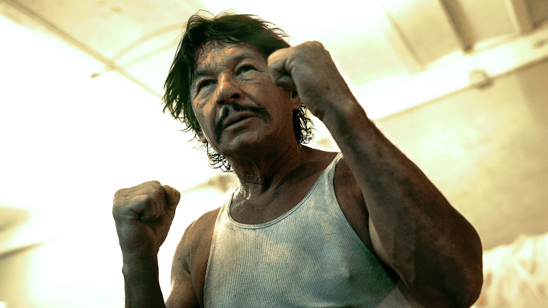 Robert Bronzi