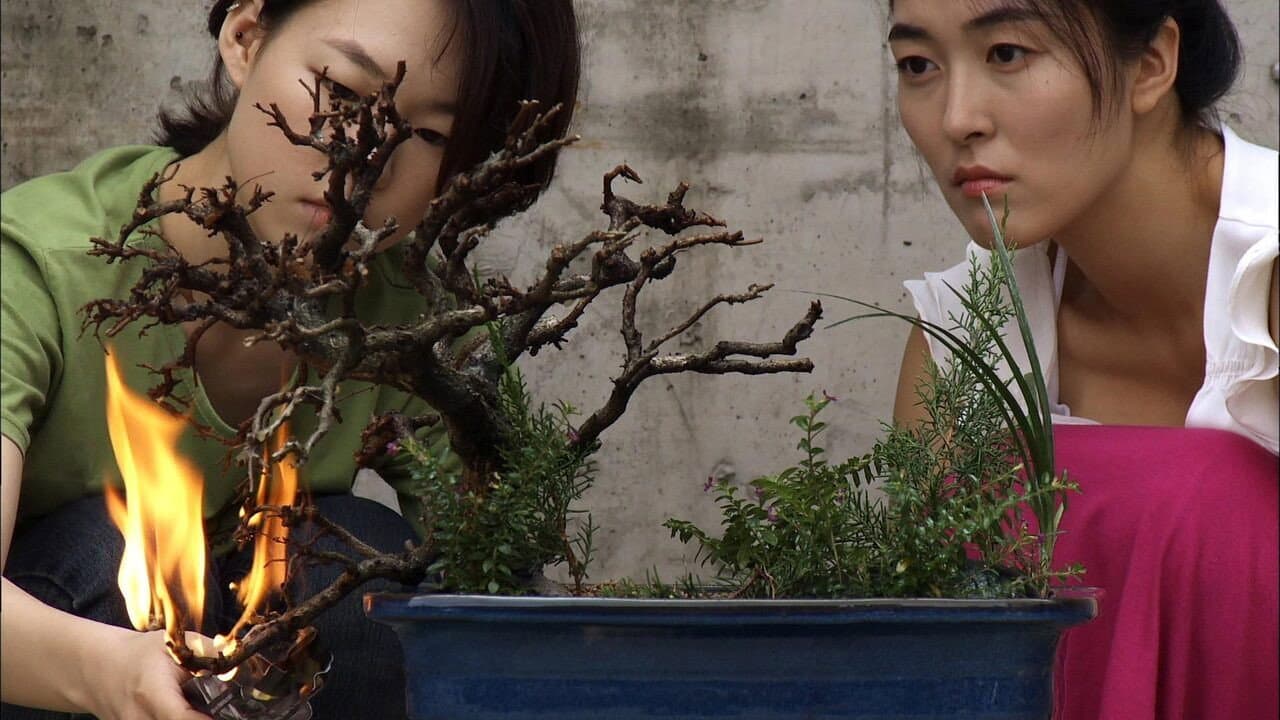 Han Ye-ri