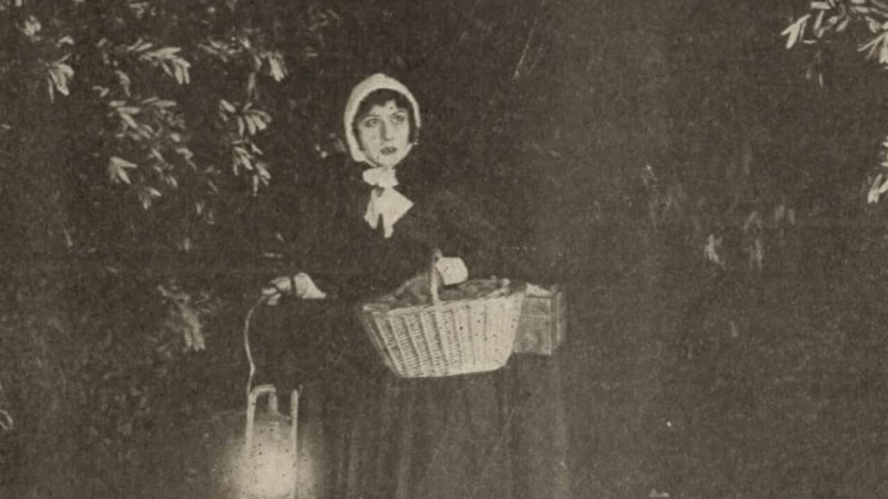 Countess Du Cello