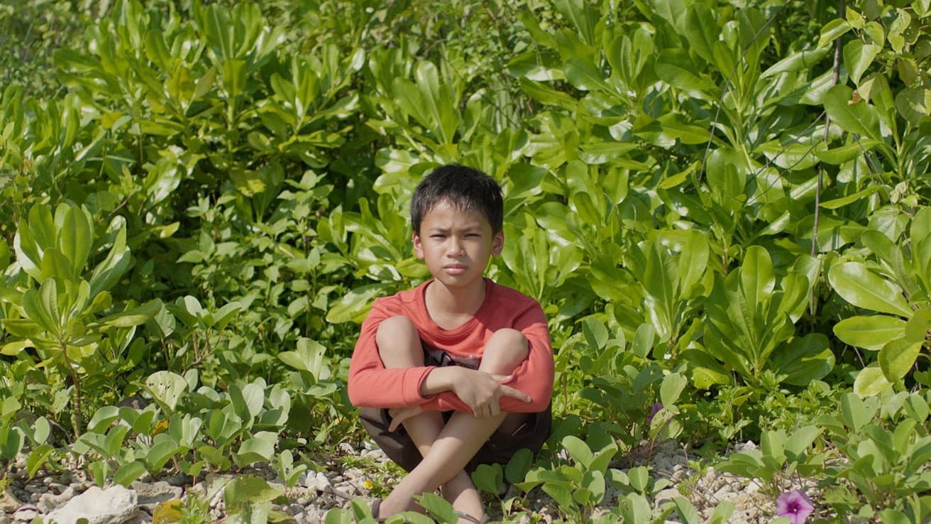 Ray Mikhael