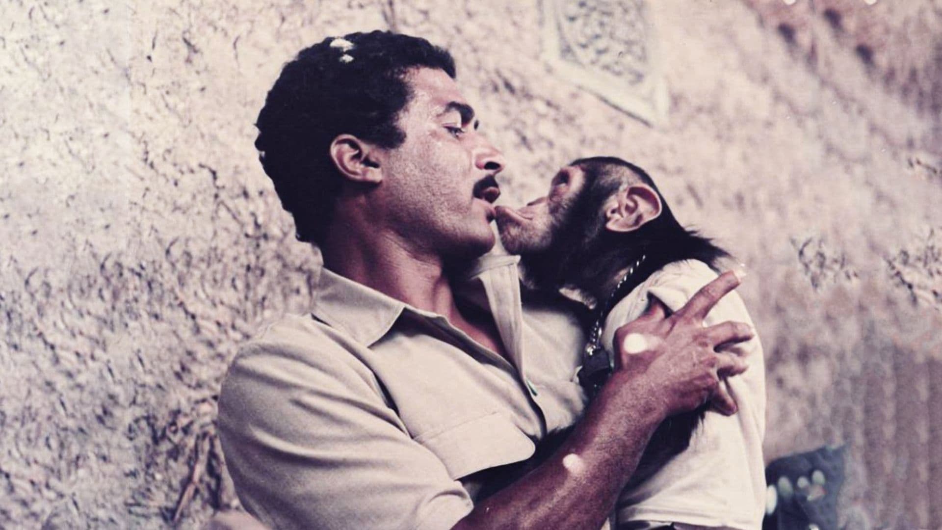 Etedal Shaheen