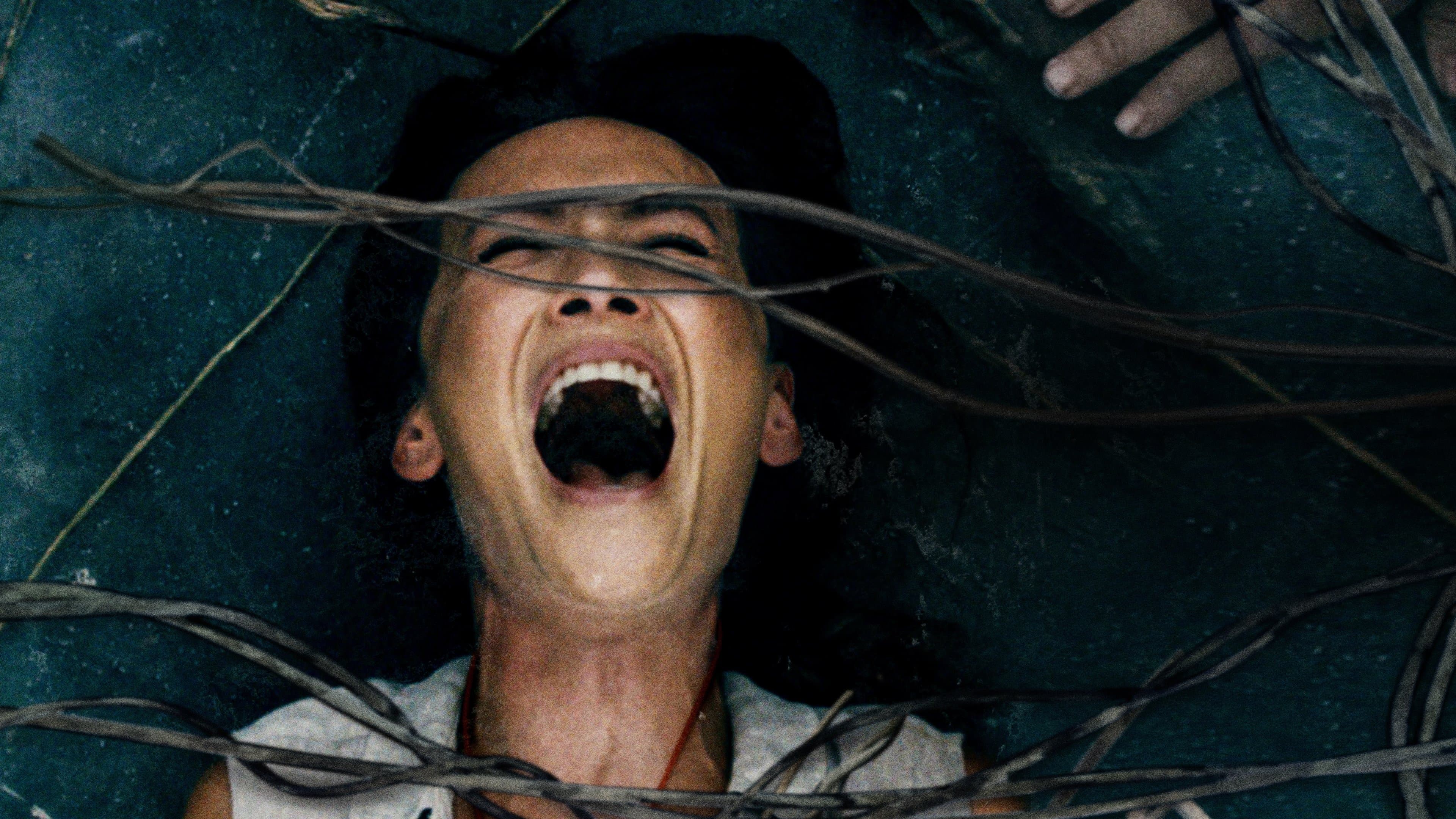 Oliver Paul Barry