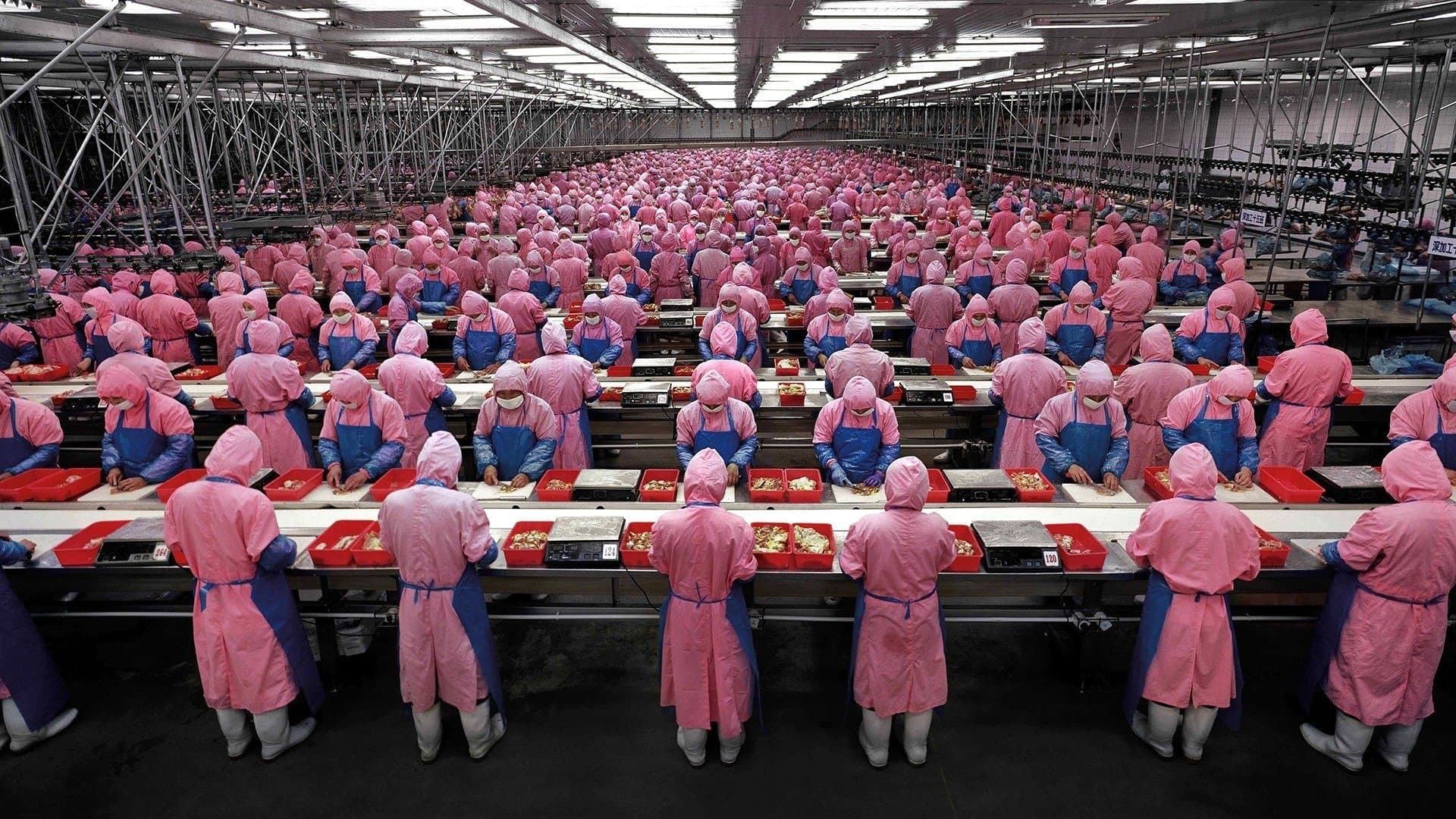 Edward Burtynsky