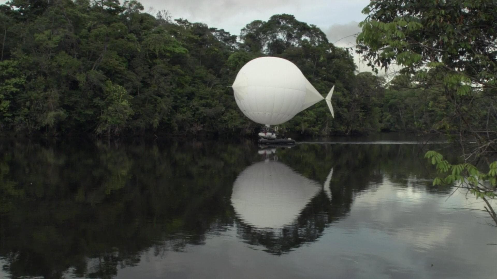 Werner Herzog