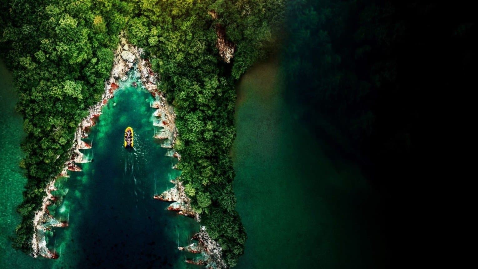 Gavin Lee Gomes