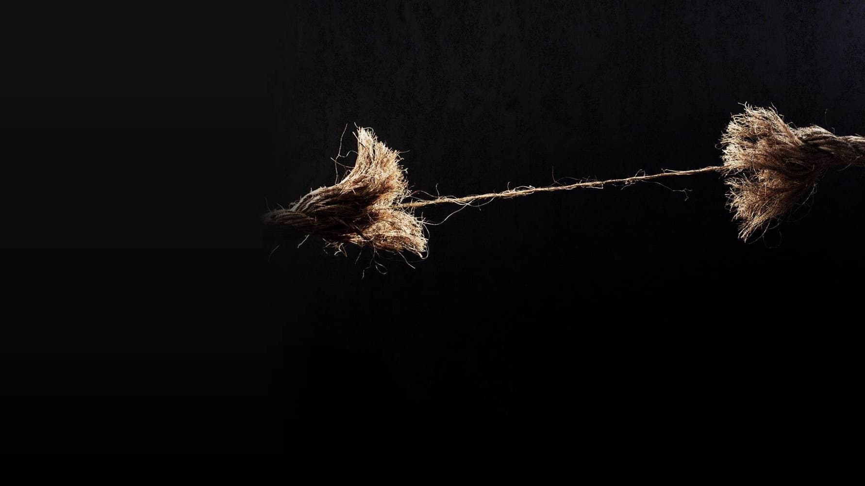 Cole Krell