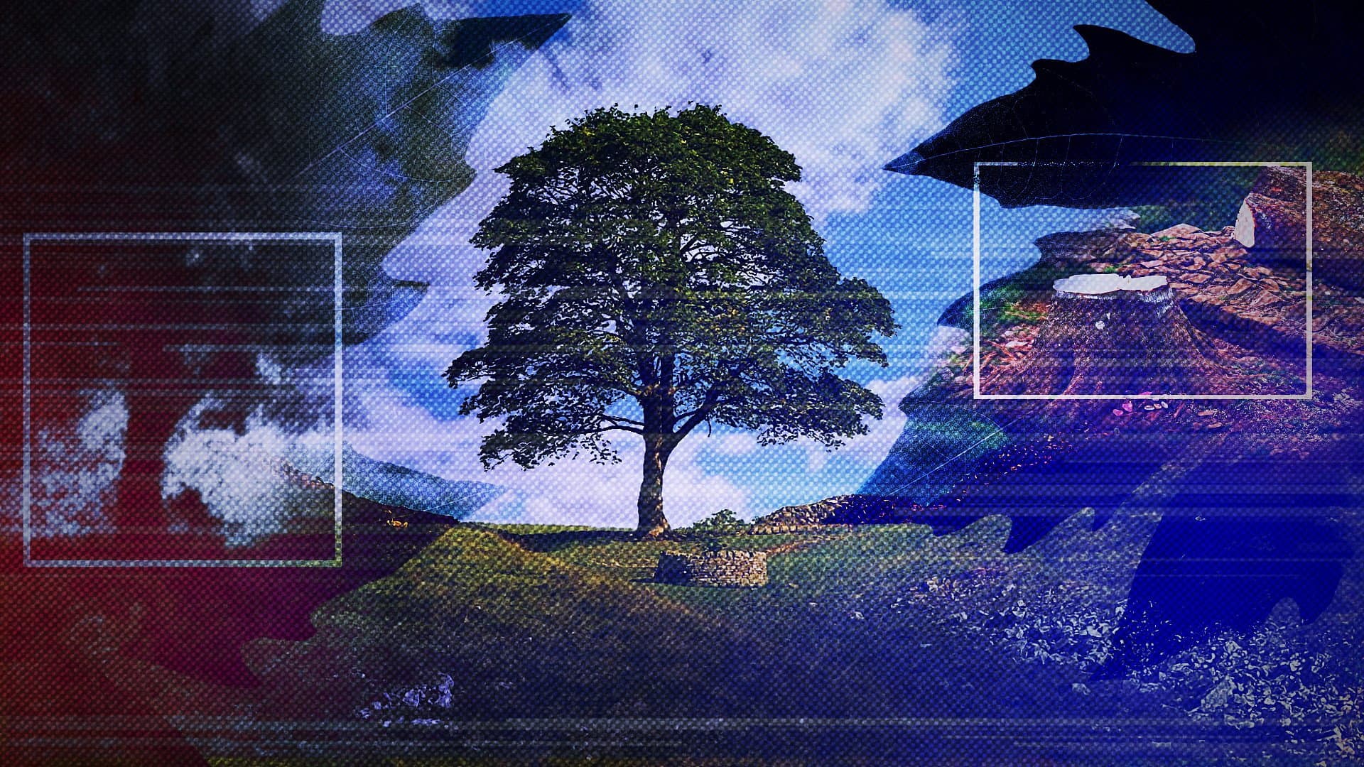 Simon King
