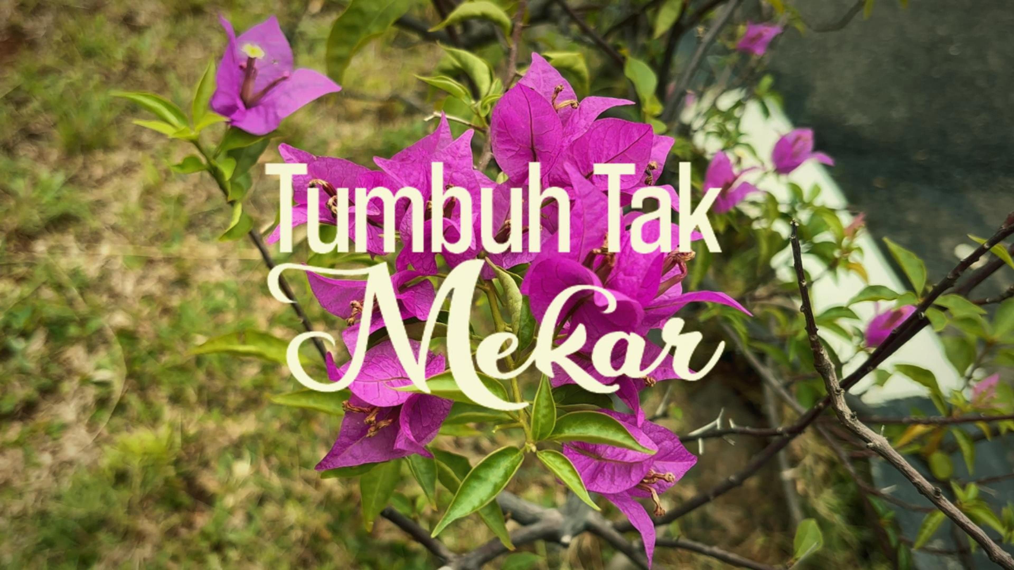 Athar Yazid Muhammad