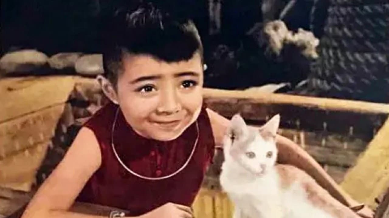 Tianzong Chen