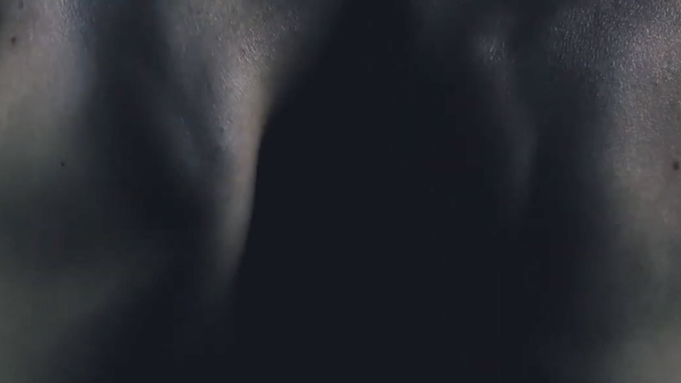 Death
