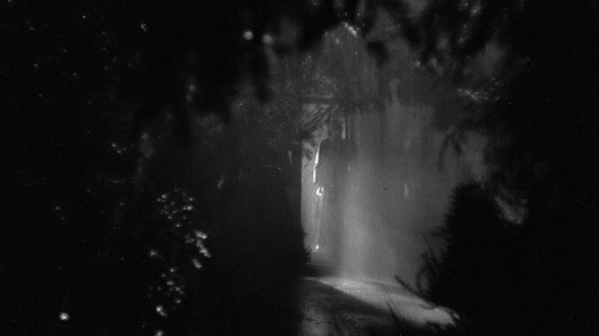 Dorothy Black