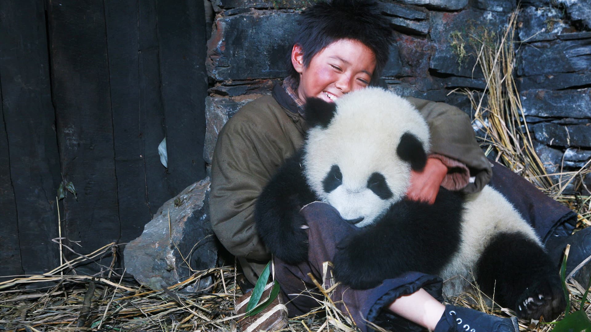 Li Feng