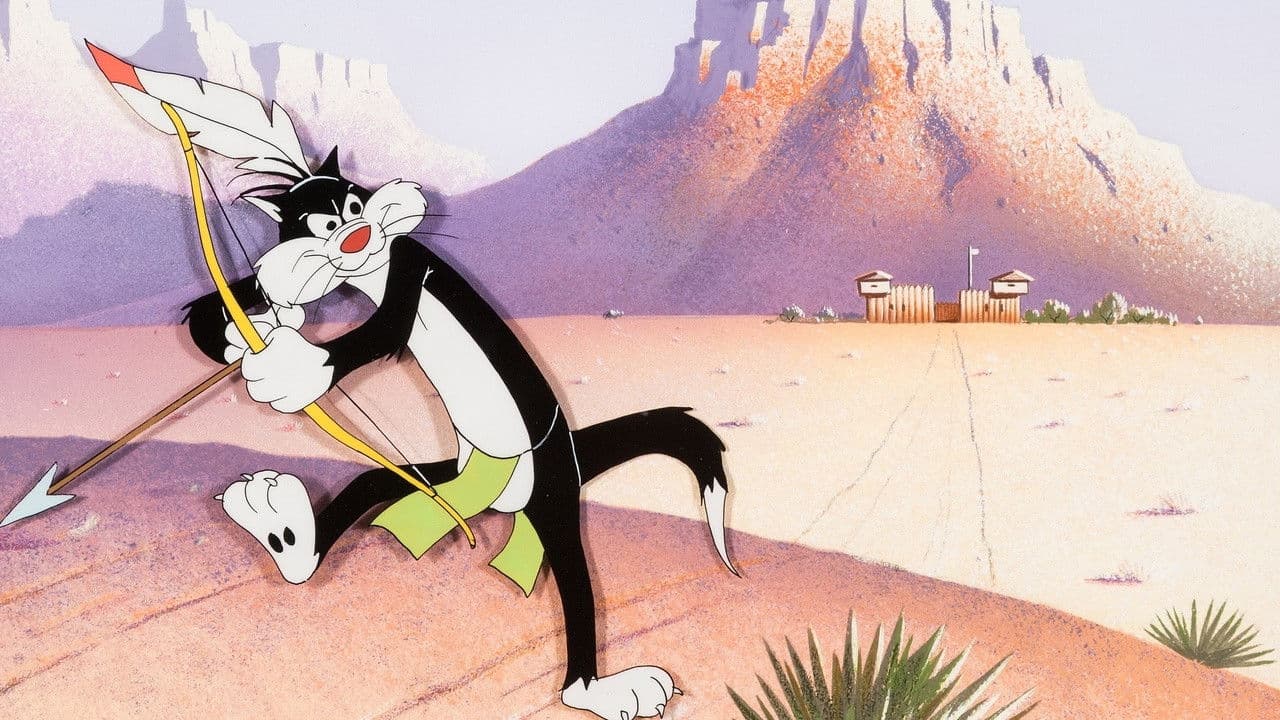 Tom Tom Tomcat