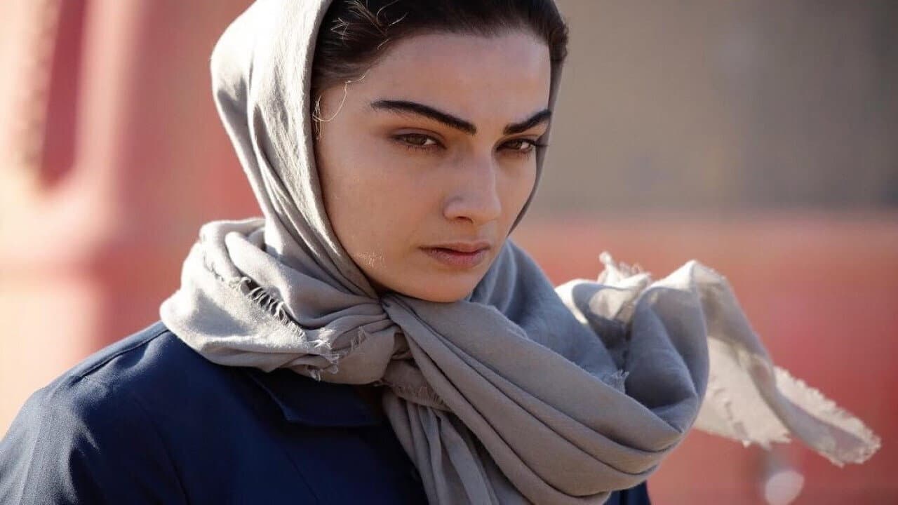 Soheil Barkhordari