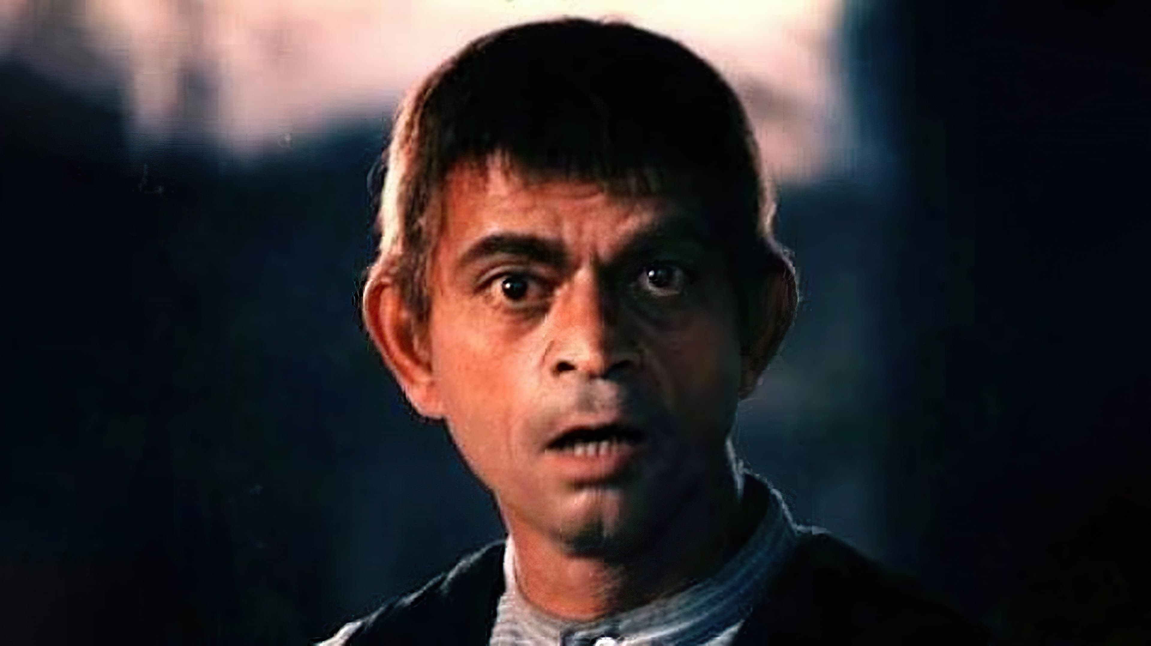 Soosan Zarani