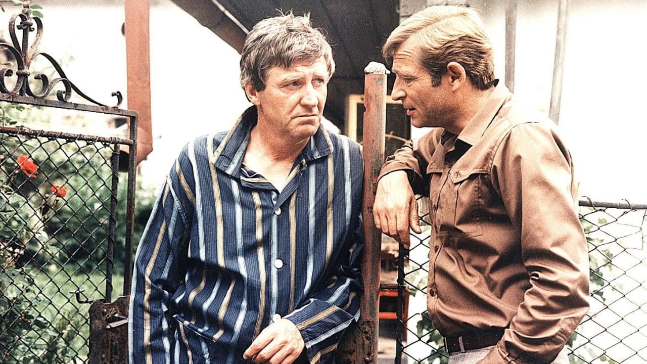 Miroslav Suchý