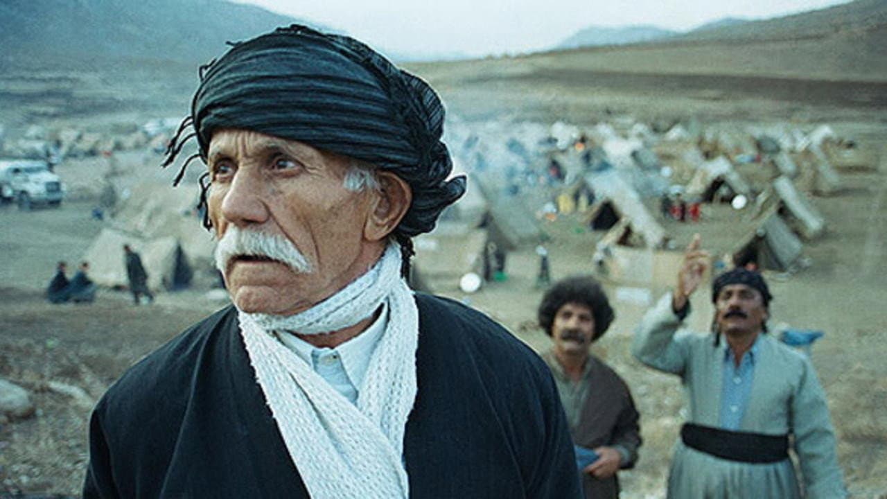 Rojan Hosseini