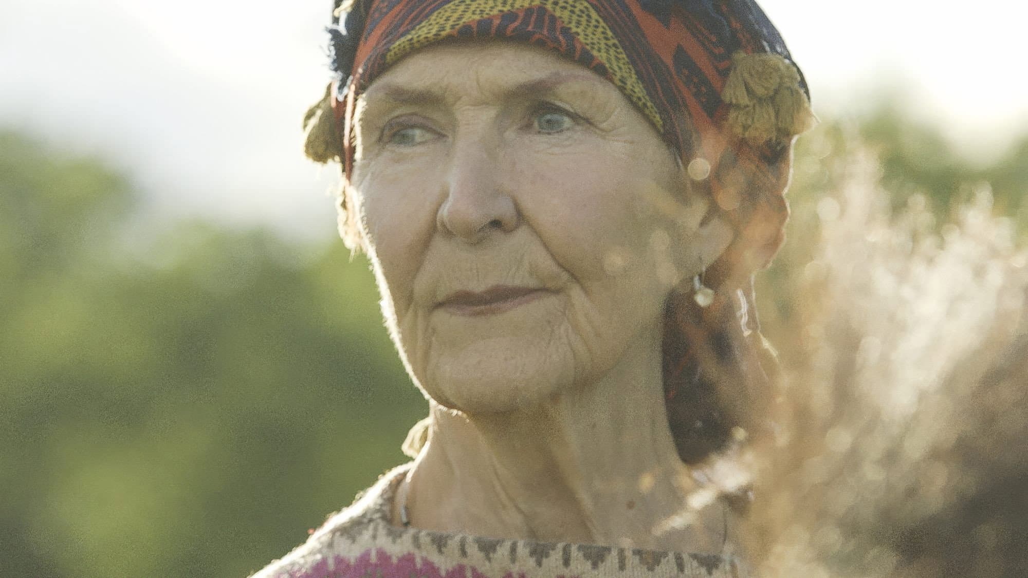 Judith Hollander