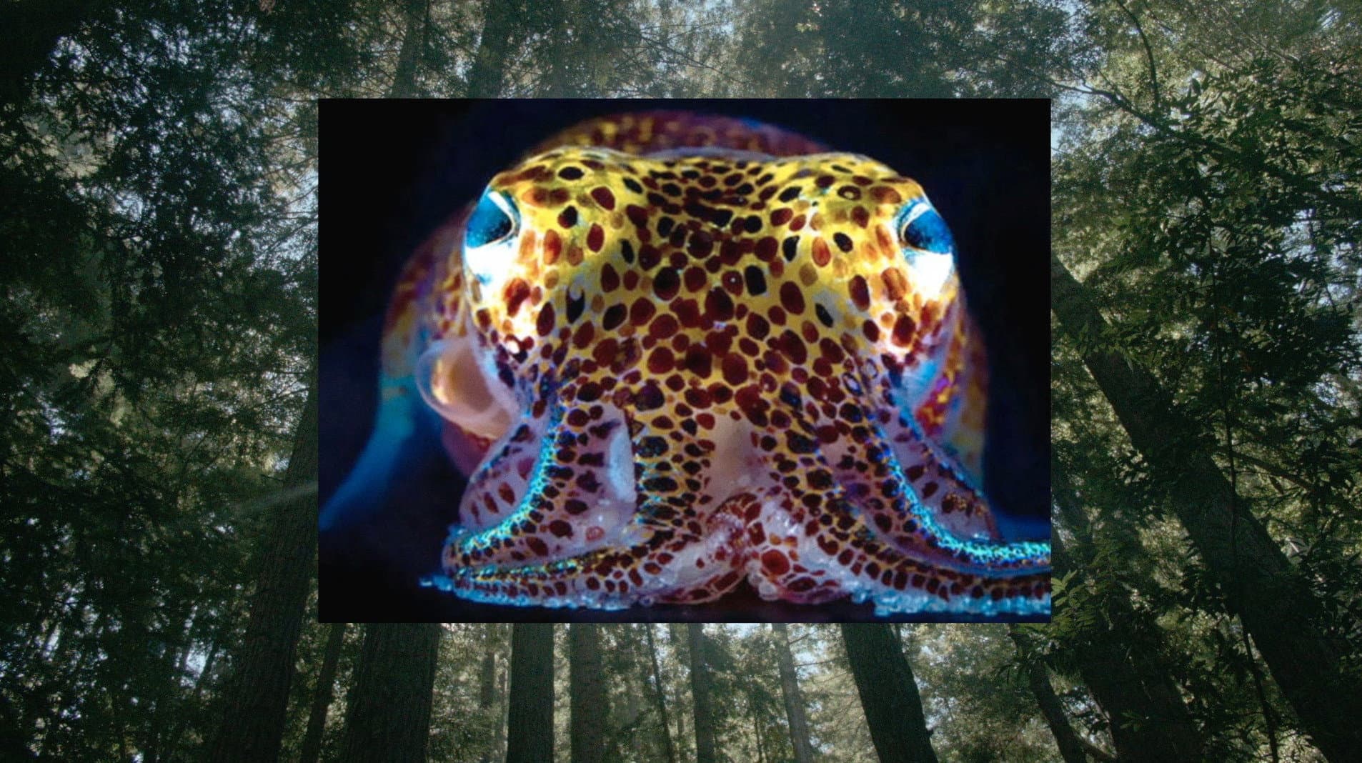 Donna Haraway