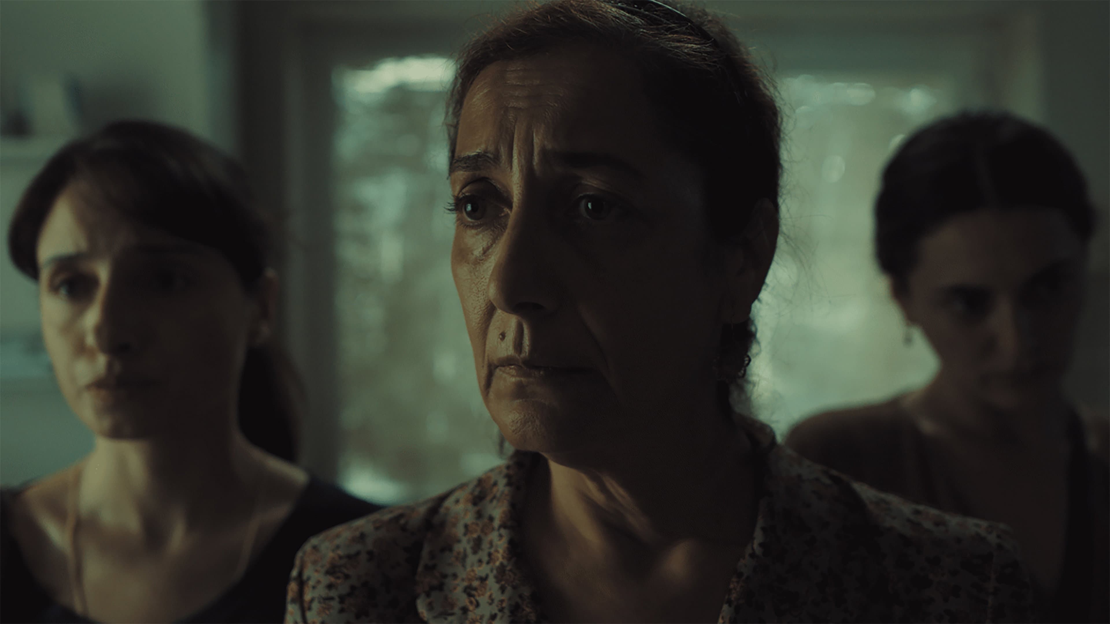 Serpil Gül