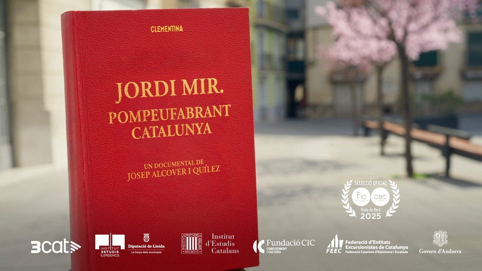 Jordi Mir