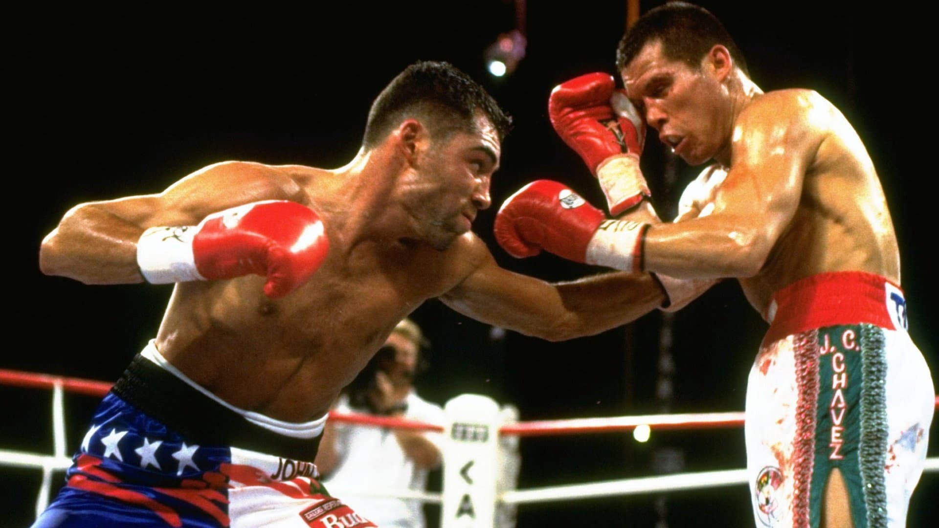 Oscar de la Hoya