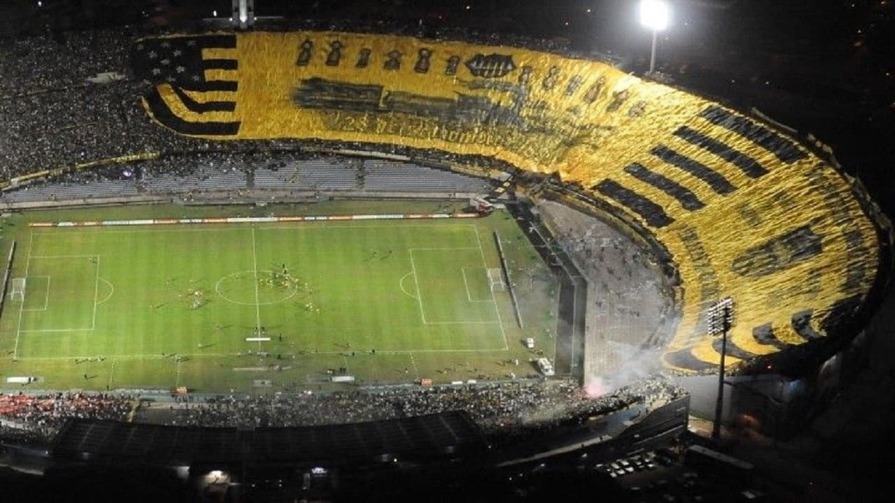 Antonio Pacheco
