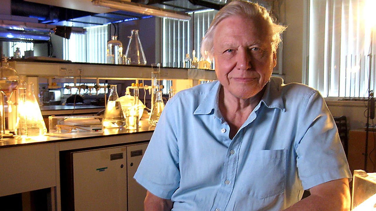 Patrick Moore