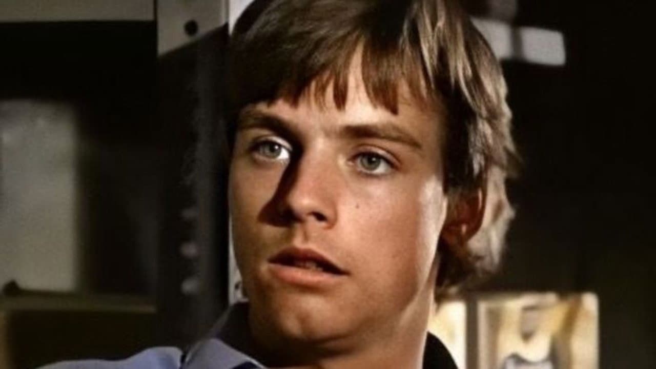 Mark Travis