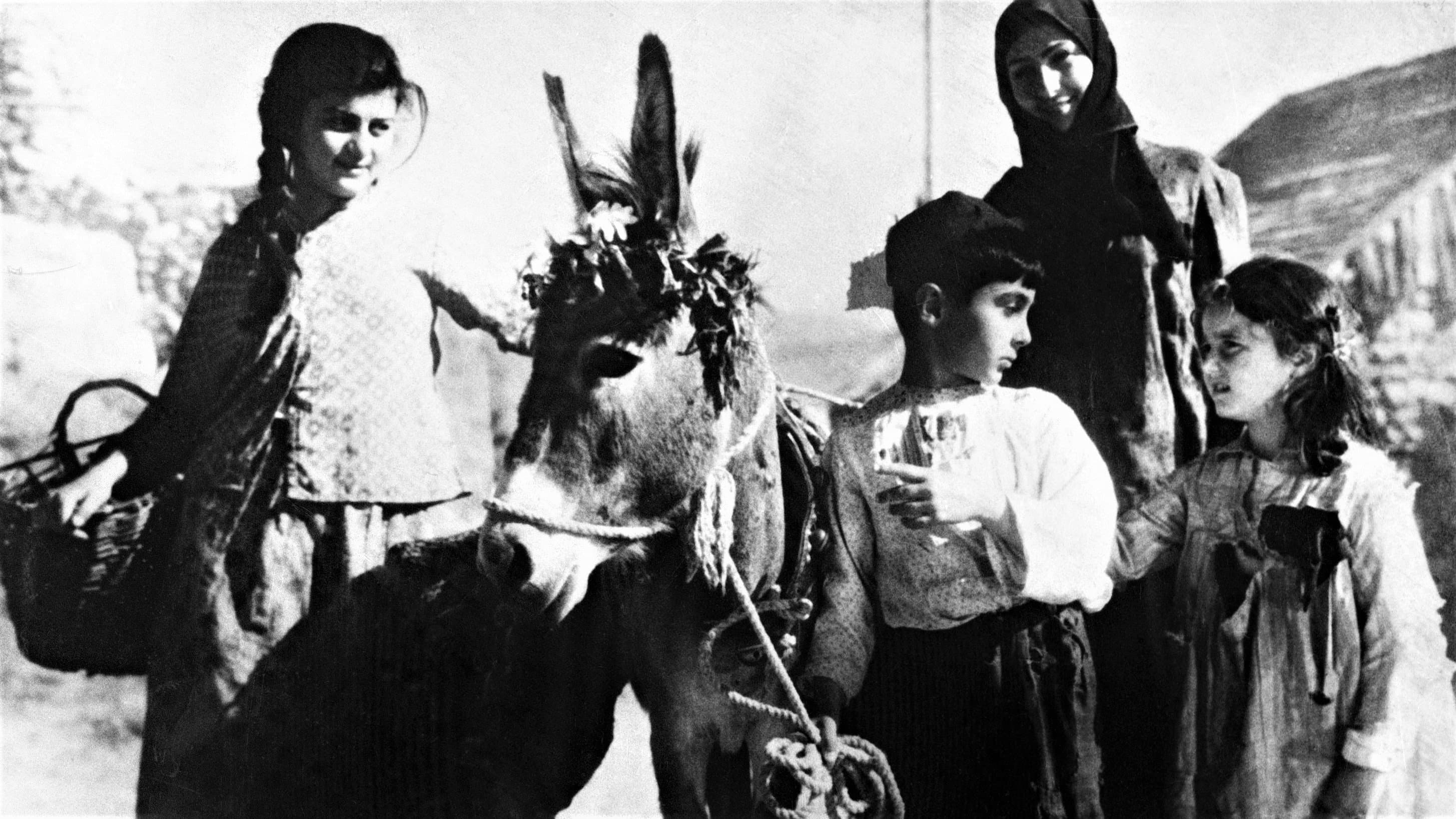Liana Moistsrapishvili