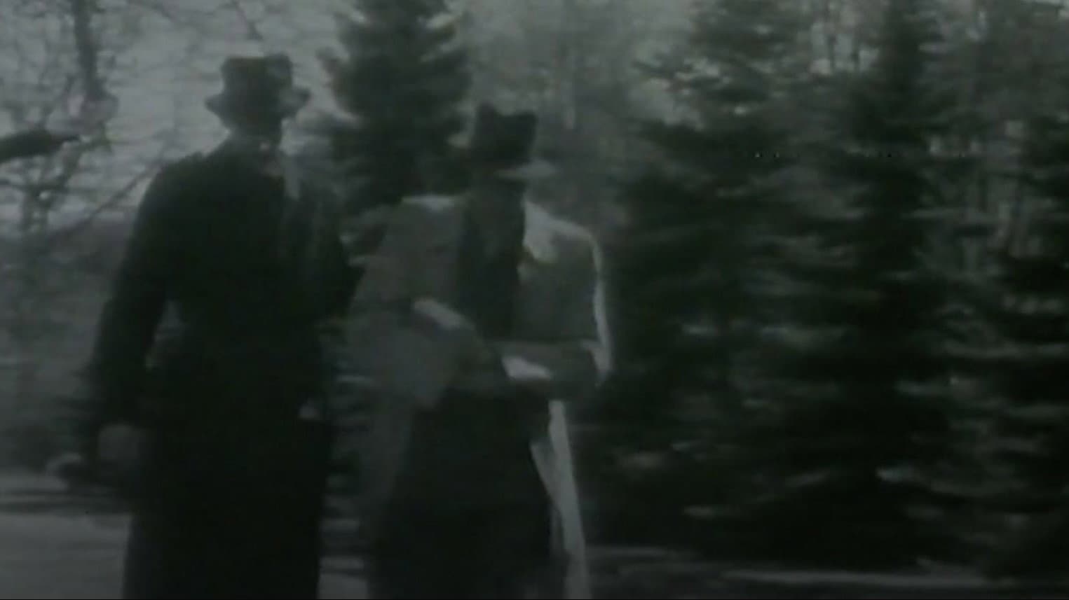 Tord Andersson