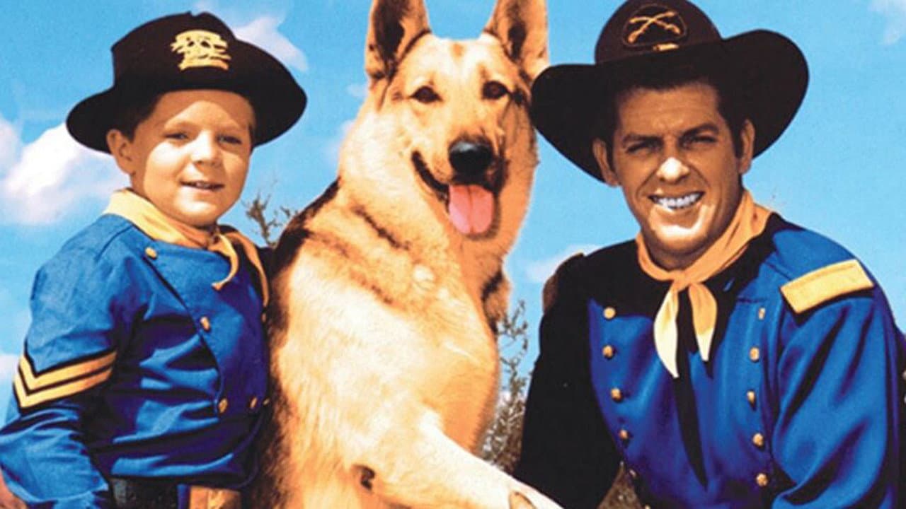 Rin-Tin-Tin II