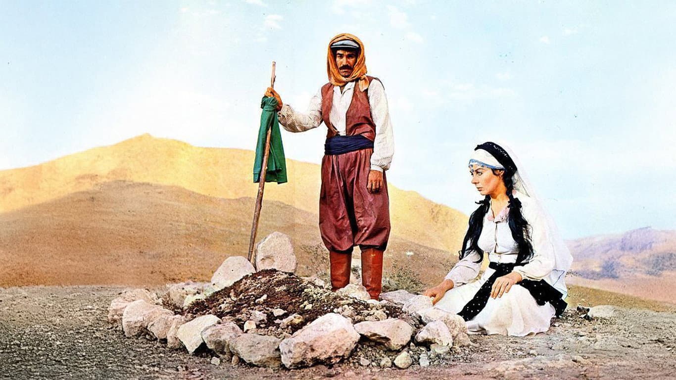 The Second Wife
