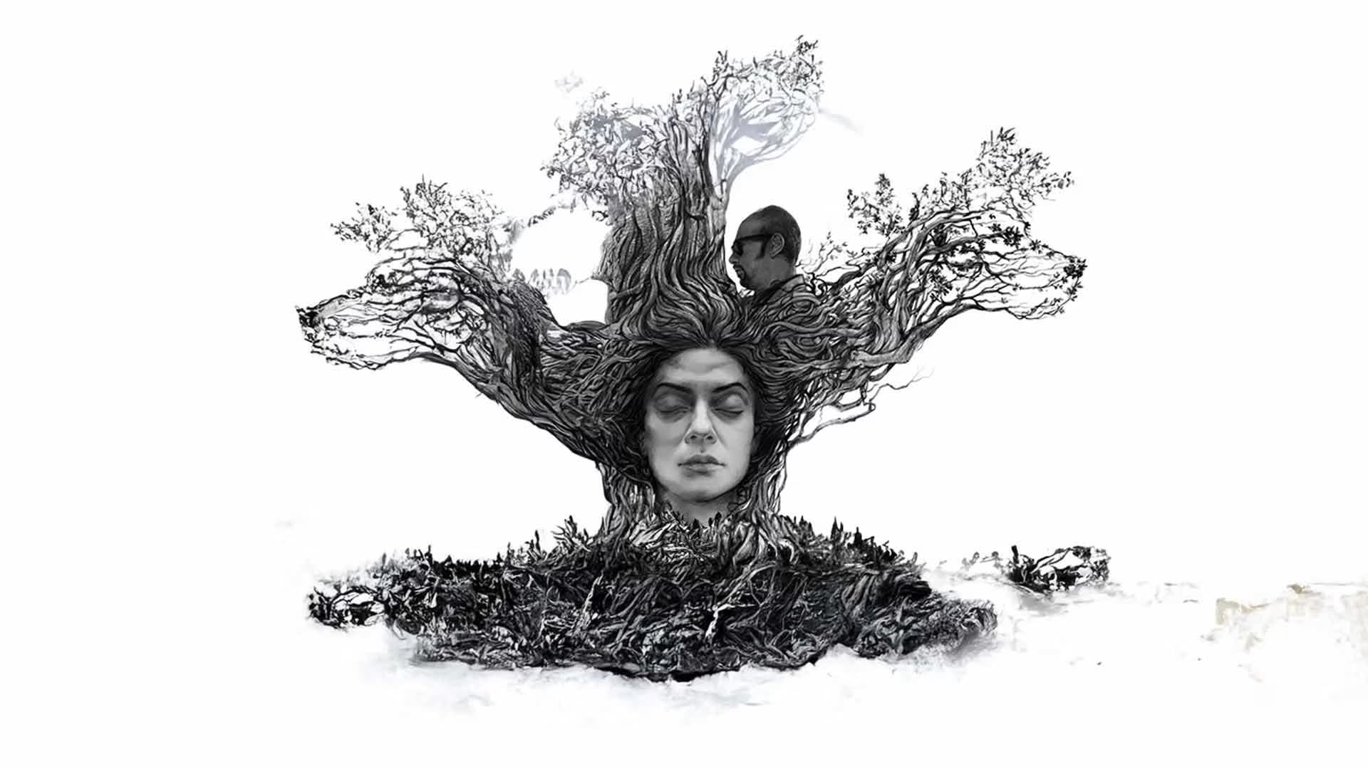 Nirbaak