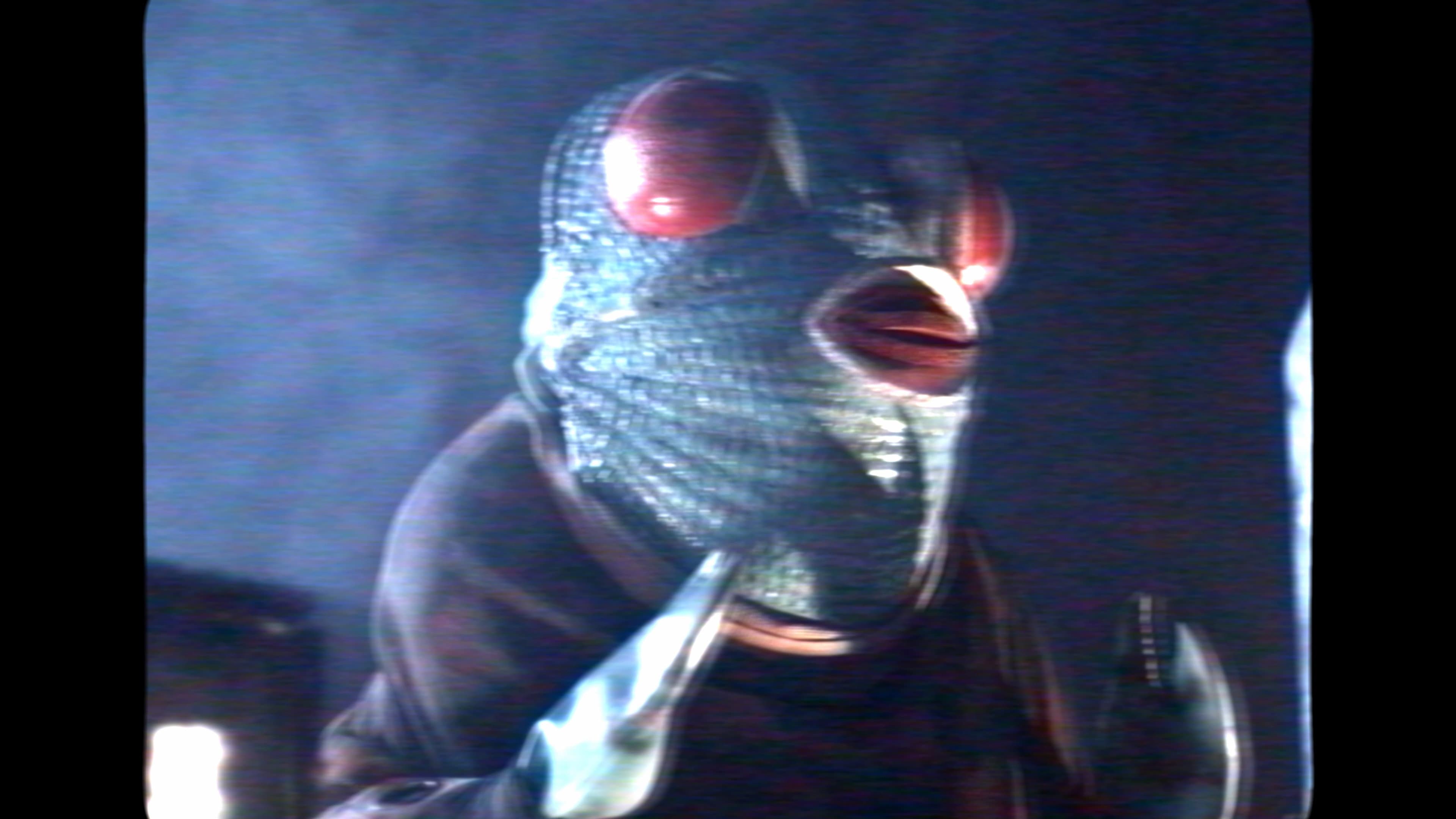 Kai Kanda