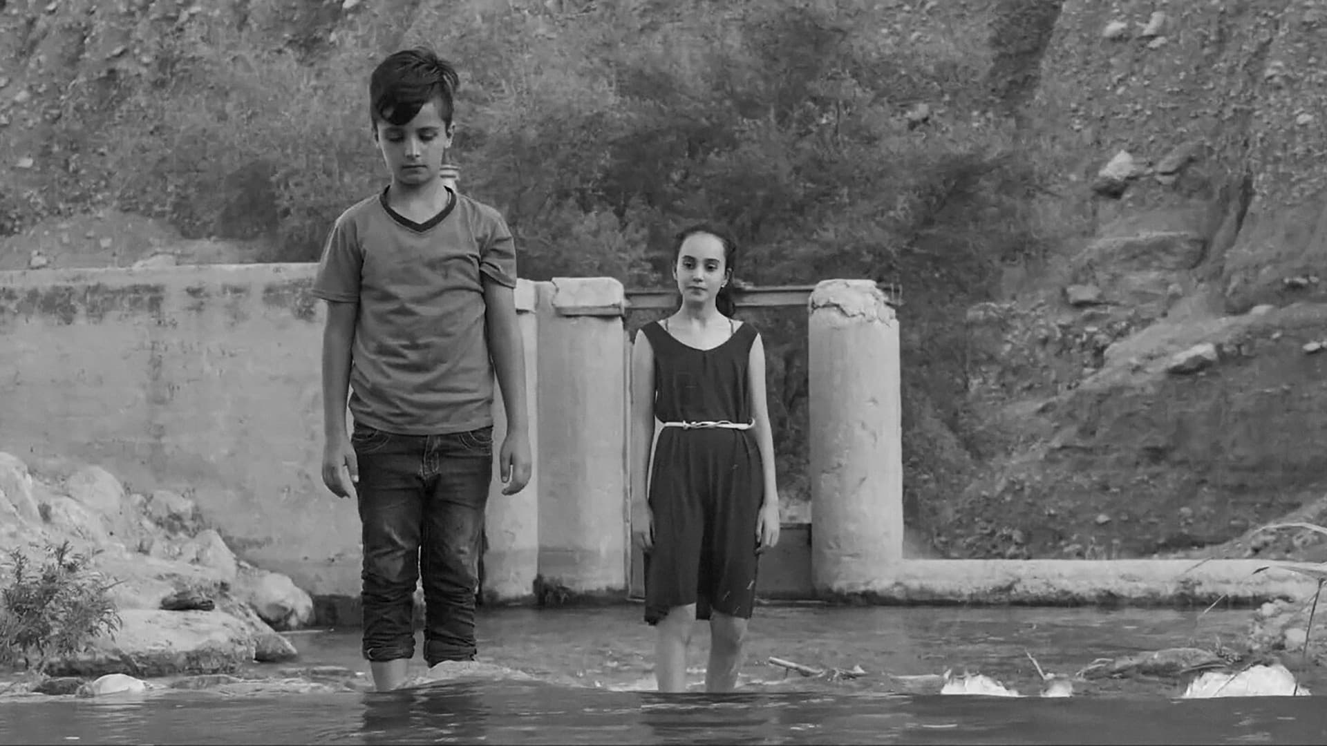 Waleed Abu Kamel