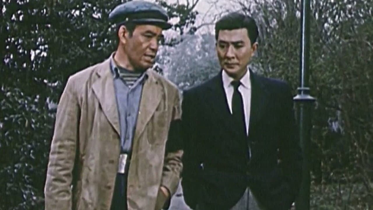 Mao Lu