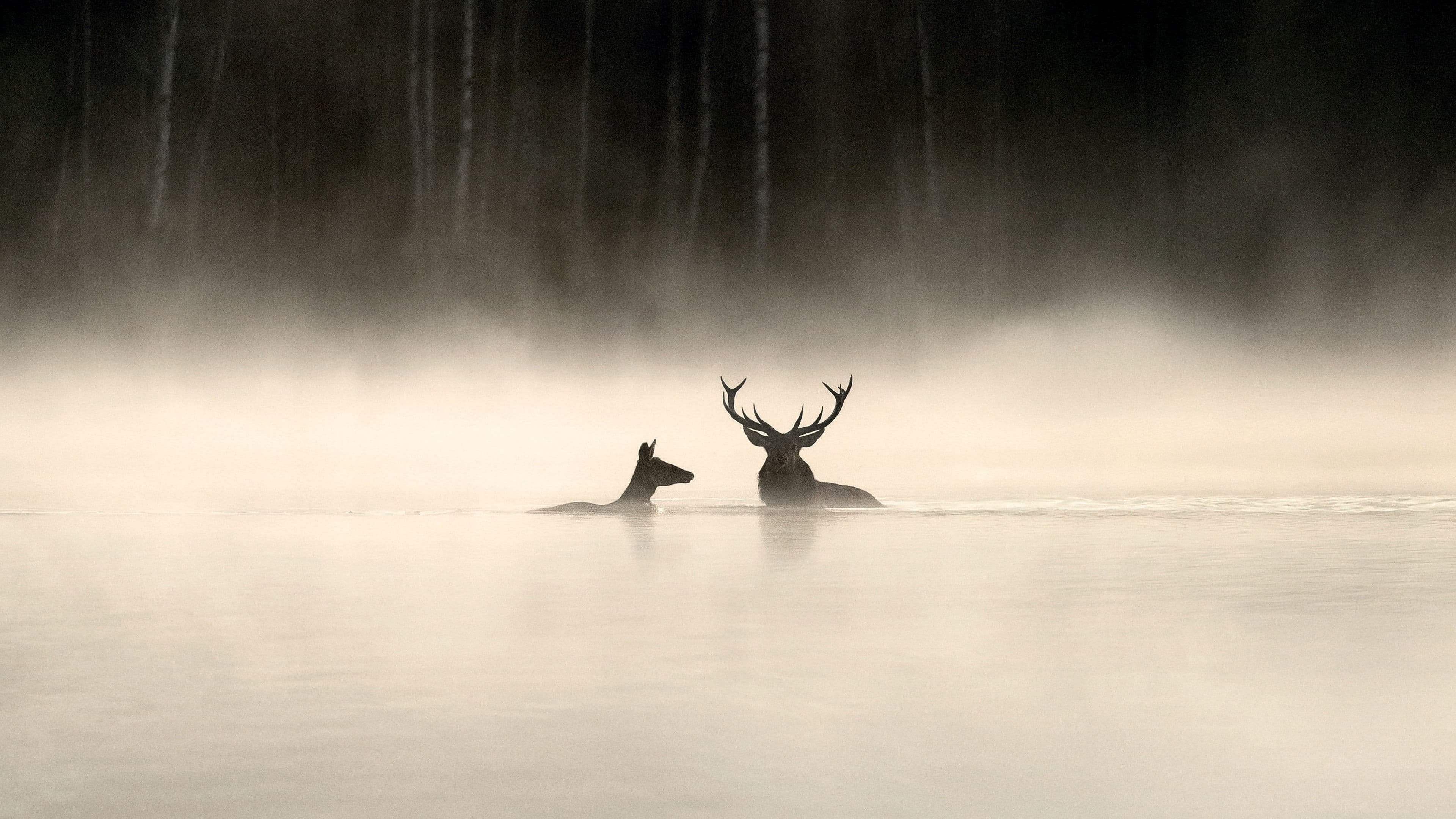 Michel Munier